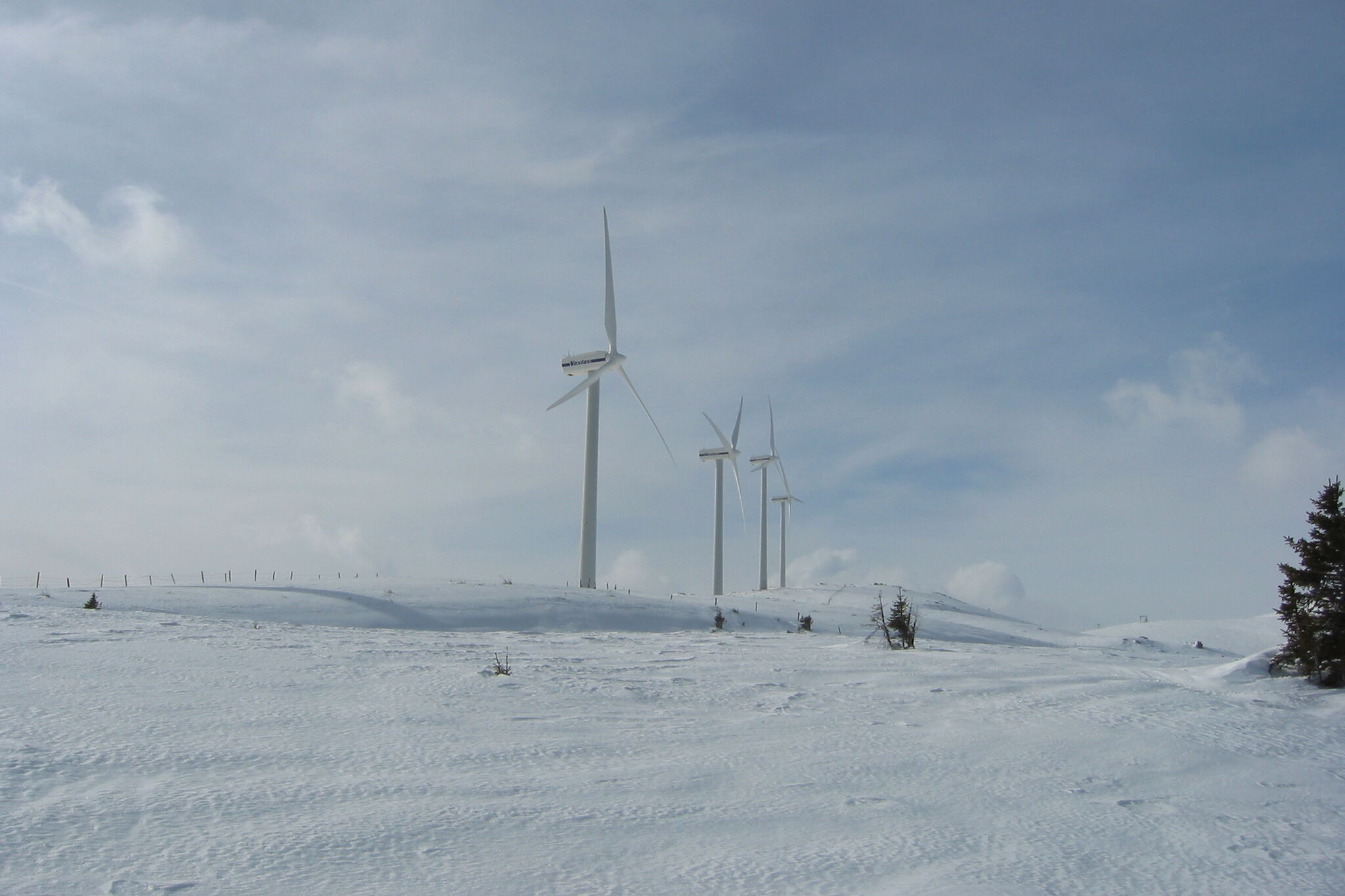 News IEA Wind TCP 109 Wind