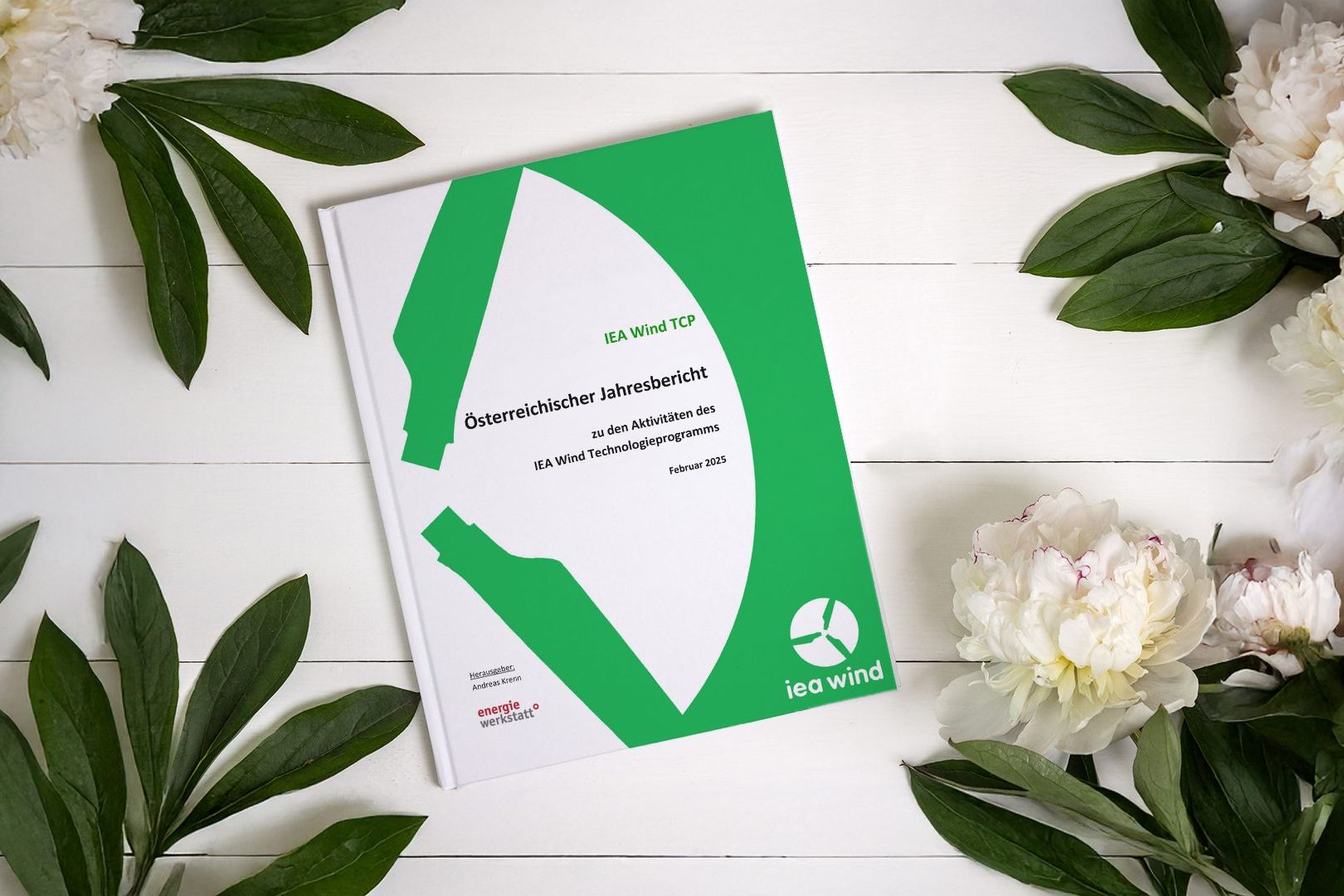 Österreichischer Jahresbericht 2024 zu den Aktivitäten des IEA Wind Technologieprogramms 26 VEW2503 Energiewerkstatt Oesterreichischer Jahresbericht IEA Winde TCP 2024 AdobeStock 162545926 uai